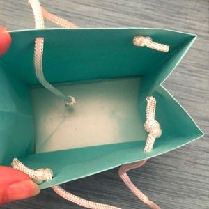 Tiffany & Co. Party Supplies - Tiffany gift bag Tiffany & Co. Party Supplies - Tiffany gift bag